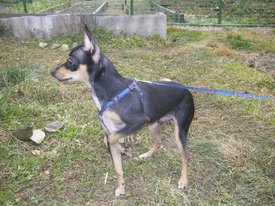 DKMgB1hS.jpg (174.18 КБ, Просмотров: 6380) DKMgB1hS.jpg