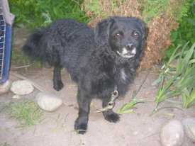 DKMgB1hT.jpg (44.38 КБ, Просмотров: 6233) DKMgB1hT.jpg