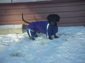 DKMgB1hU.jpg (52.61 КБ, Просмотров: 6366) DKMgB1hU.jpg