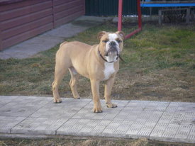 DKMgB1hV.jpg (44.28 КБ, Просмотров: 6366) DKMgB1hV.jpg