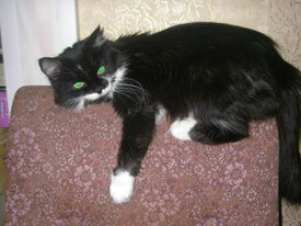 DKMgB1hW.jpg (47.82 КБ, Просмотров: 6380) DKMgB1hW.jpg