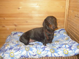 DKMgB1hX.jpg (60.8 КБ, Просмотров: 6233) DKMgB1hX.jpg