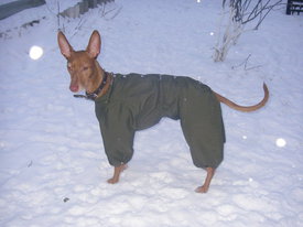 DKMgB1hY.jpg (56.91 КБ, Просмотров: 6380) DKMgB1hY.jpg