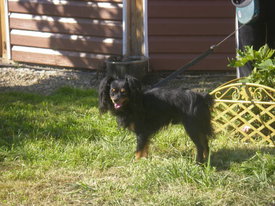 DKMgB1hZ.jpg (66.46 КБ, Просмотров: 6366) DKMgB1hZ.jpg