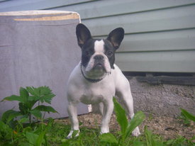 IA4wMq8A.jpg (38.92 КБ, Просмотров: 6233) IA4wMq8A.jpg