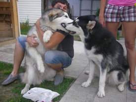 IA4wMq8B.jpg (49.62 КБ, Просмотров: 6380) IA4wMq8B.jpg