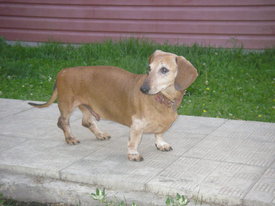 IA4wMq8C.jpg (50.56 КБ, Просмотров: 6233) IA4wMq8C.jpg