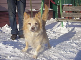 N7LfbOFM.jpg (57.51 КБ, Просмотров: 6366) N7LfbOFM.jpg