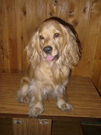 N7LfbOFN.jpg (55.81 КБ, Просмотров: 6366) N7LfbOFN.jpg