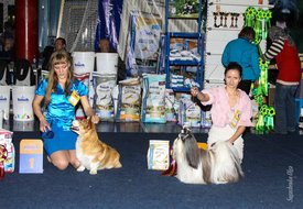 IMG_4682.jpg (174.42 КБ, Просмотров: 10423) IMG_4682.jpg