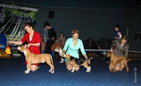 IMG_4703.jpg (135.97 КБ, Просмотров: 10423) IMG_4703.jpg