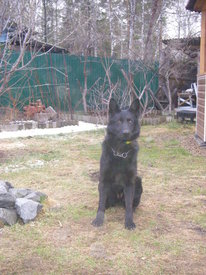 N7LfbOFS.jpg (88.99 КБ, Просмотров: 6333) N7LfbOFS.jpg