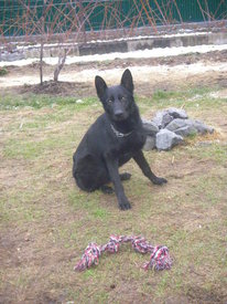 N7LfbOFU.jpg (88.02 КБ, Просмотров: 6200) N7LfbOFU.jpg