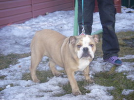 N7LfbOFP.jpg (46.09 КБ, Просмотров: 6333) N7LfbOFP.jpg