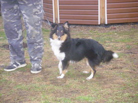 N7LfbOFR.jpg (52.25 КБ, Просмотров: 6200) N7LfbOFR.jpg