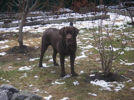 N7LfbOGl.jpg (75.12 КБ, Просмотров: 6347) N7LfbOGl.jpg