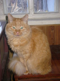 soytzjWC.jpg (51.75 КБ, Просмотров: 6200) soytzjWC.jpg