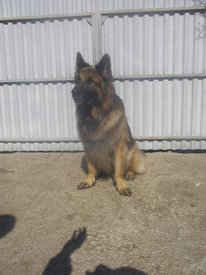 T5tGtT3a.jpg (67.56 КБ, Просмотров: 6347) T5tGtT3a.jpg