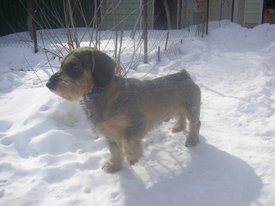 T5tGtT39.jpg (53.93 КБ, Просмотров: 6200) T5tGtT39.jpg