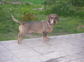 OxMY4jm0.jpg (53.28 КБ, Просмотров: 6347) OxMY4jm0.jpg