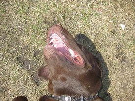 N7LfbOId.jpg (77.67 КБ, Просмотров: 6347) N7LfbOId.jpg