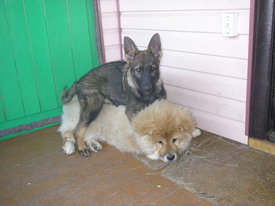 N7LfbOIc.jpg (52.35 КБ, Просмотров: 6347) N7LfbOIc.jpg