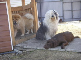 N7LfbOIa.jpg (52.79 КБ, Просмотров: 6200) N7LfbOIa.jpg