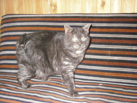 N7LfbOI4.jpg (56.3 КБ, Просмотров: 6347) N7LfbOI4.jpg