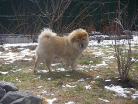 N7LfbOGp.jpg (68.65 КБ, Просмотров: 6333) N7LfbOGp.jpg