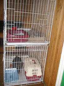 N7LfbOGr.jpg (83.05 КБ, Просмотров: 6200) N7LfbOGr.jpg