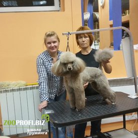 ev4B4BghwLQ.jpg (174.38 КБ, Просмотров: 2949) ev4B4BghwLQ.jpg