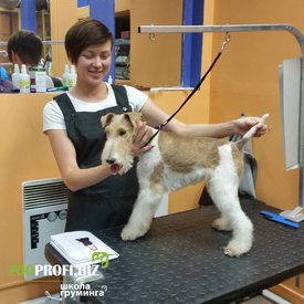 CbBfYmT5at8.jpg (160.58 КБ, Просмотров: 3185) CbBfYmT5at8.jpg