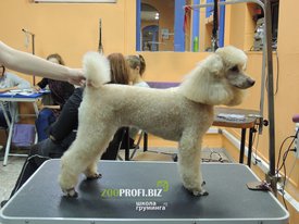 zq5O7MSLcec.jpg (221.52 КБ, Просмотров: 3085) zq5O7MSLcec.jpg