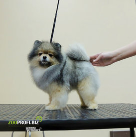 image.jpg (210.23 КБ, Просмотров: 3355) image.jpg