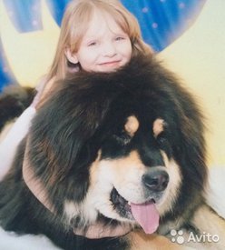 3262760239.jpg (50.95 КБ, Просмотров: 1148) 3262760239.jpg