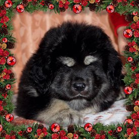 0FECB490-6ACA-44D4-95A7-E00476CCCDB6.jpg (267.1 КБ, Просмотров: 1225) 0FECB490-6ACA-44D4-95A7-E00476CCCDB6.jpg