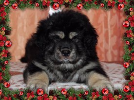 A06B245C-0986-4D6B-A772-3CA58612686A.jpg (162.25 КБ, Просмотров: 1148) A06B245C-0986-4D6B-A772-3CA58612686A.jpg