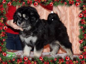 A236D951-ACA0-4864-A056-934BB82650C0.jpg (219.05 КБ, Просмотров: 1148) A236D951-ACA0-4864-A056-934BB82650C0.jpg