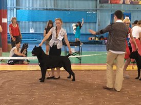 IMG-20160717-WA0006.jpg (149.5 КБ, Просмотров: 8414) IMG-20160717-WA0006.jpg