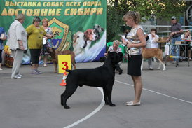 zd5ybAep.jpg (91.46 КБ, Просмотров: 8412) zd5ybAep.jpg