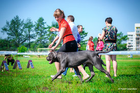 DSC_1081.jpg (590.31 КБ, Просмотров: 8415) DSC_1081.jpg