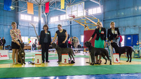 DSC_4277.jpg (366.66 КБ, Просмотров: 8412) DSC_4277.jpg