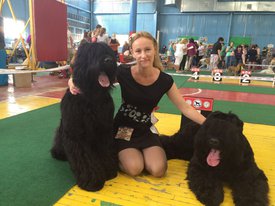 IMG-20160710-WA0021.jpg (151.97 КБ, Просмотров: 8411) IMG-20160710-WA0021.jpg