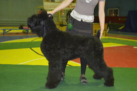 5XIrhX8l.jpg (37.09 КБ, Просмотров: 8622) 5XIrhX8l.jpg