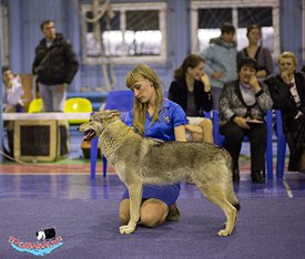 0ba652e4a90a.jpg (351.84 КБ, Просмотров: 8618) 0ba652e4a90a.jpg