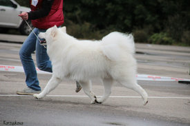 370699-4d623-71454424-m750x740-u50f3a.jpg (103.65 КБ, Просмотров: 8406) 370699-4d623-71454424-m750x740-u50f3a.jpg