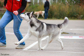 KAT_2501.jpg (131.75 КБ, Просмотров: 8402) KAT_2501.jpg