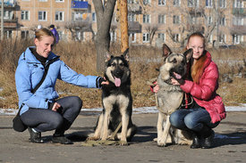 getIрпрапmage.jpeg (99.71 КБ, Просмотров: 8869) getIрпрапmage.jpeg