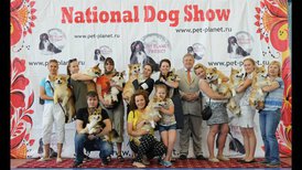 IMG-20160717-WA0003.jpg (167.21 КБ, Просмотров: 8396) IMG-20160717-WA0003.jpg