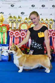 14390937_343037722708585_3279231333590151531_n.jpg (76.52 КБ, Просмотров: 8296) 14390937_343037722708585_3279231333590151531_n.jpg